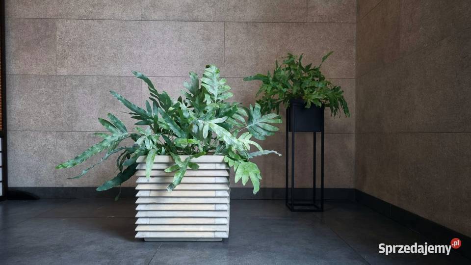 Donica drewniana 3D nowoczesna industrialna sprzedam