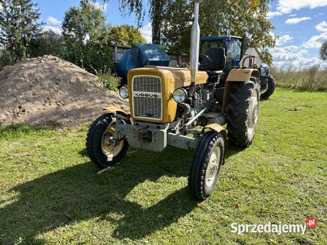Ursus C330 1979 nowego w gospodarstwie Korycin
