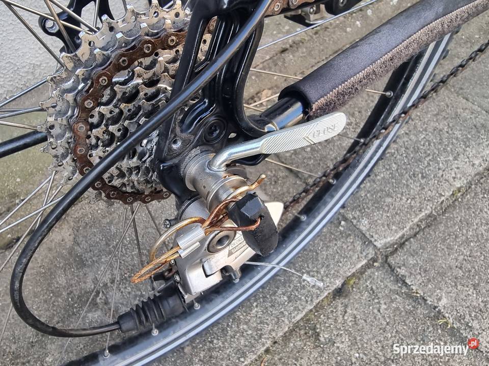 Rower treningowy LiBike Dębno