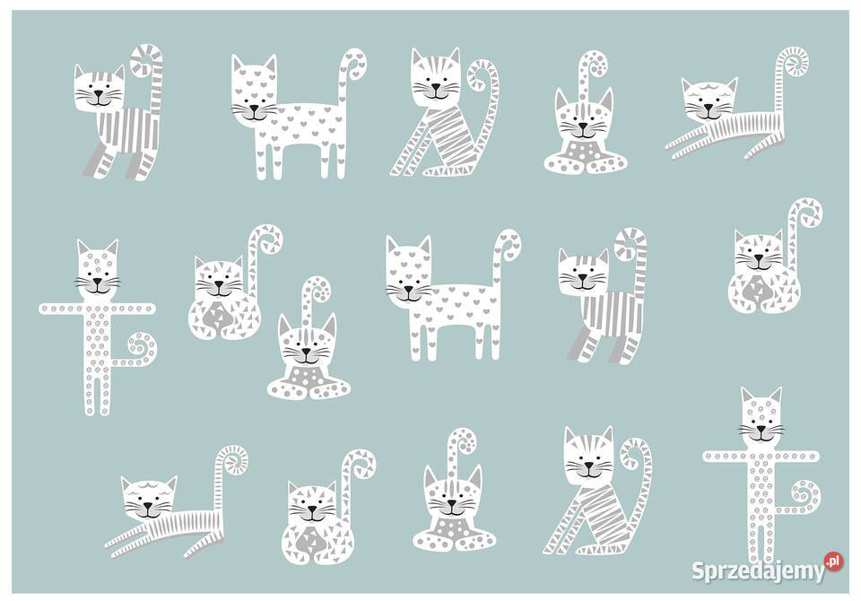 Tapeta fototapeta Kotki dzieci Leszno sprzedam