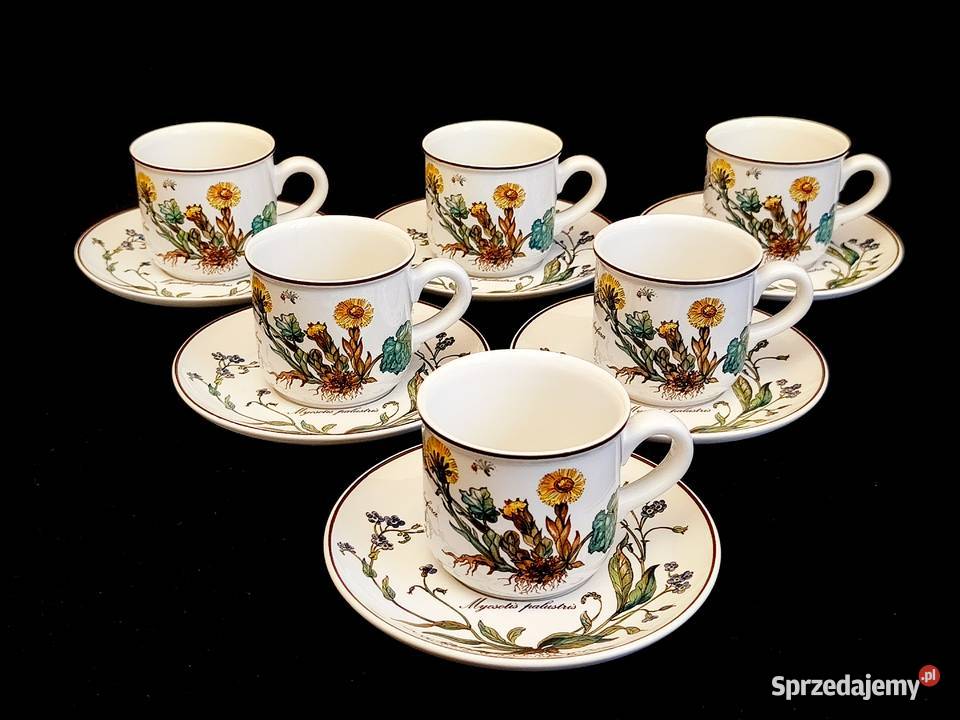 Zestaw kawowy Villeroy Boch Botanica lubelskie Chełm