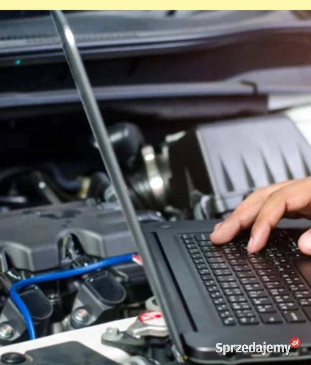 Chip Tuning Vw Audi Skoda Bmw Fiat Alfa Iveco osobowe