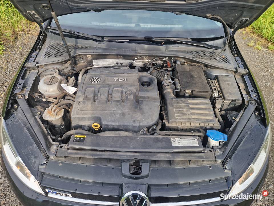 Vw Golf VII 16Tdi 6 biegów z Niemiec Okazja dolnośląskie Zgorzelec