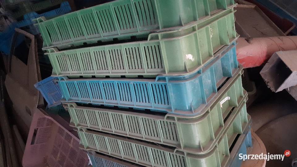 Skrzynki plastikowe na owoce Janów Lubelski sprzedam