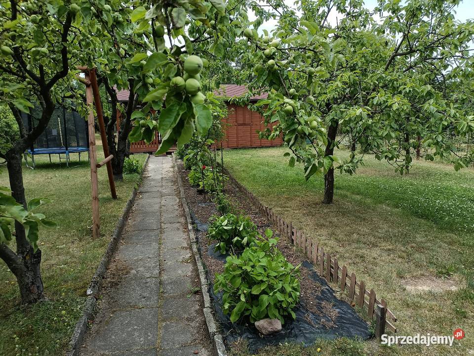 Działka ROD Bemowo Warszawa