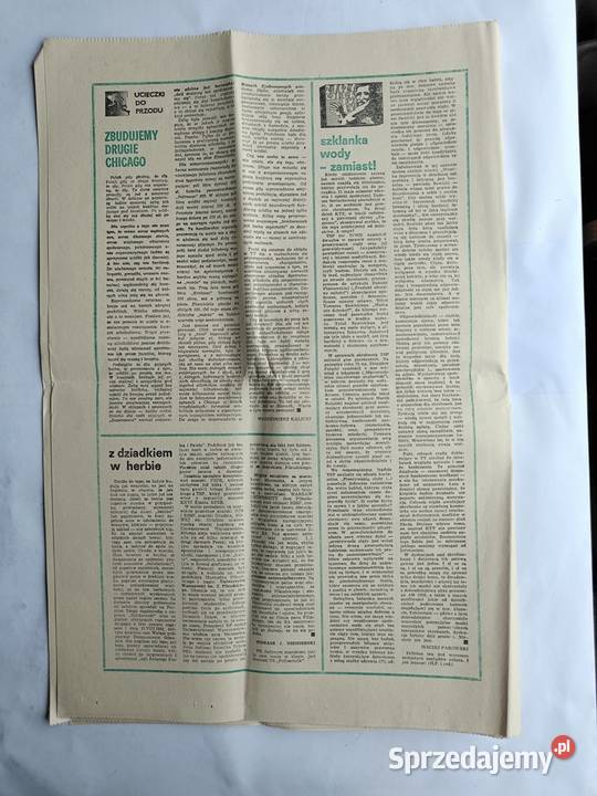 NSZZ Solidarność Biuletyny studenckie 1981 miękka Czasopisma Gdynia