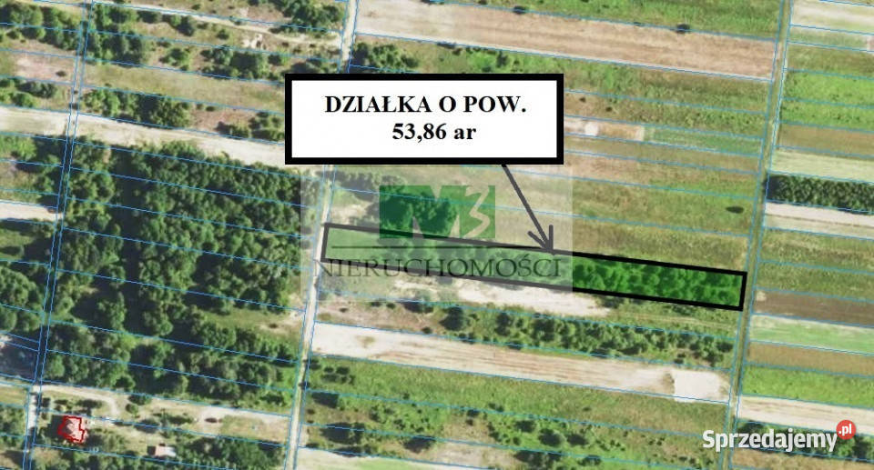 NA SPRZEDAŻ DZIAŁKI ROLNE W BRZÓZIE KRÓLEWSKIEJ Sprzedaż podkarpackie Brzóza Królewska sprzedam