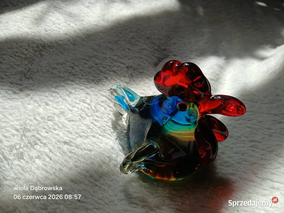 Kogut Murano sprzedam