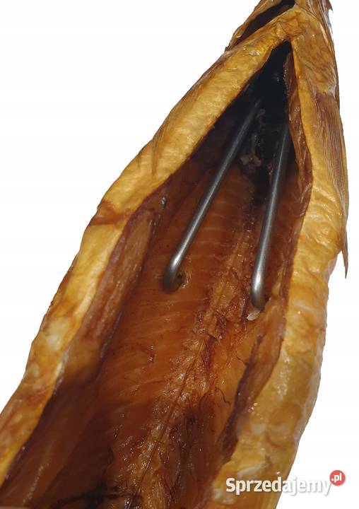 Hak Wędzarniczy Super Smoke do tusz ryb Białystok sprzedam