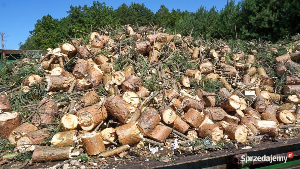 Rębak walcowy REMET R120 TAŚMA rozdrabniacz do podkarpackie Łowisko sprzedam