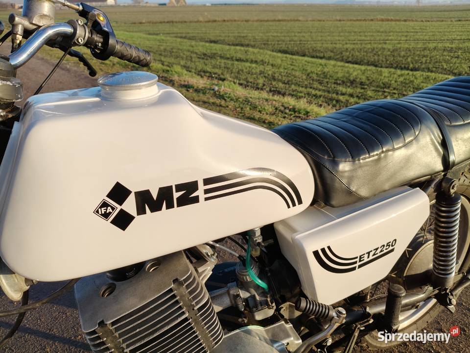 MZ ETZ 250 1988 z dokumentami do rejestracji MZ Nowe Skalmierzyce