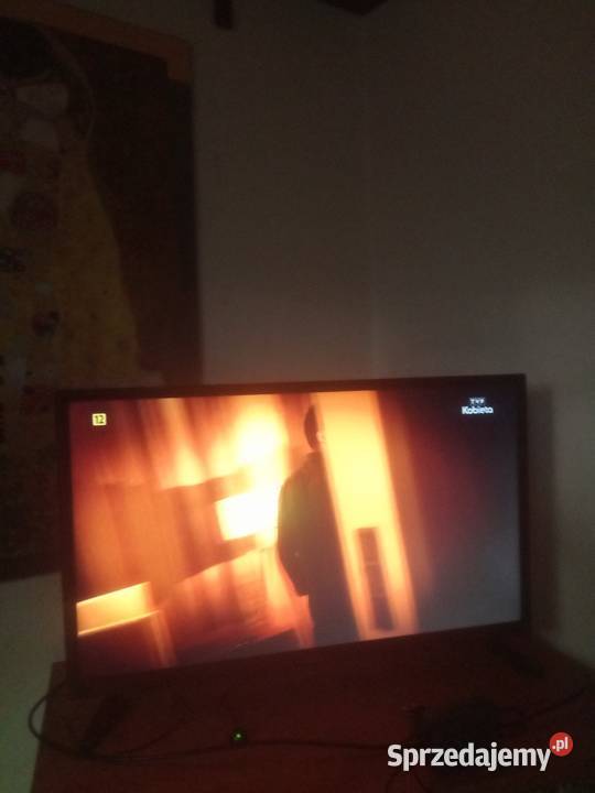 Telewizor Skymaster 32 calowy 250zl warmińsko-mazurskie Olsztyn sprzedam