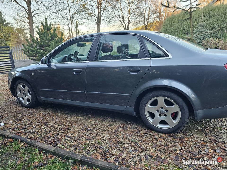 Audi A4 B6 2000cm3 Chotynin