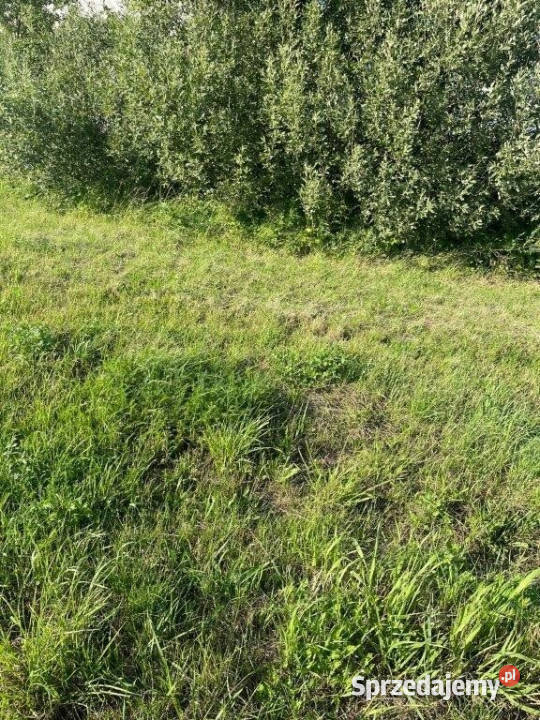 Grunt 2000m2 Białogóra