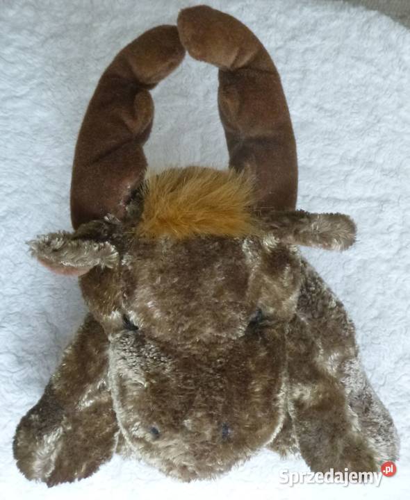 Pluszak łoś w szaliczku Warszawa