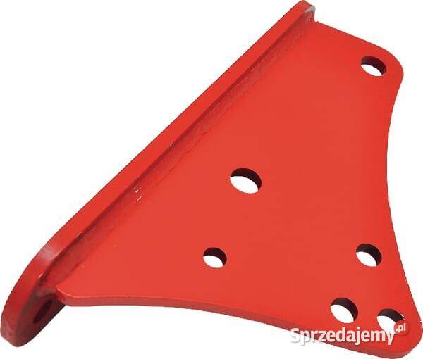 Płyta 1069241000 małopolskie Kamionna