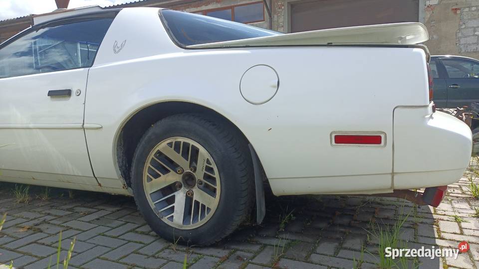 Pontiac Firebird 31 V6 1991 r Sępólno Krajeńskie