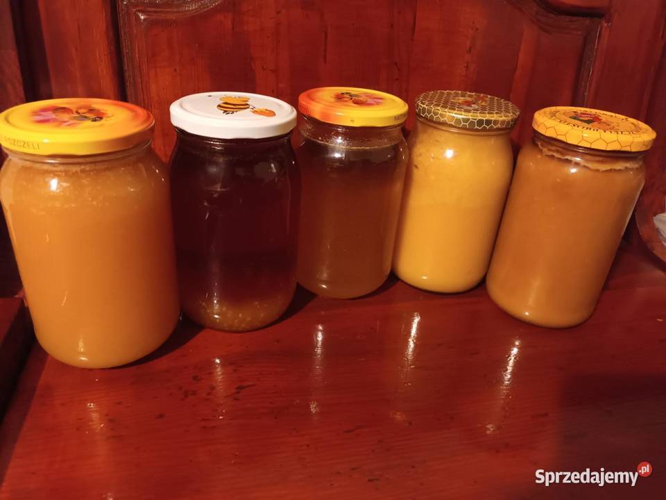 Miód wielokwiatowy 12 Rzeszów