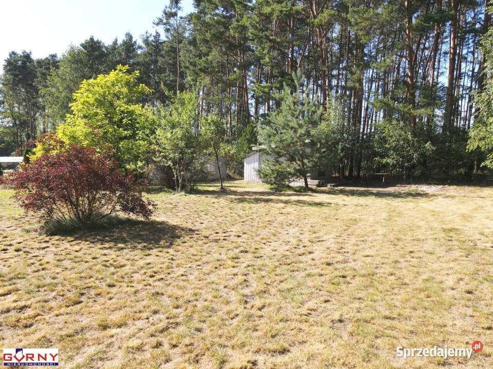 Grunt na sprzedaż Lubiaszów 1600m2 203zł/m2
