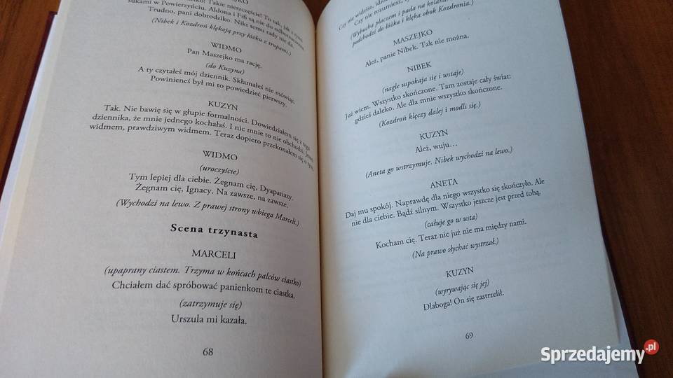 W małym dworku Stanisław Ignacy Witkiewicz pomorskie Gdańsk