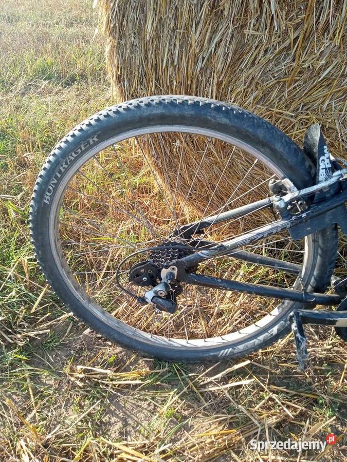 Rower trek Eseries Gdańsk sprzedam
