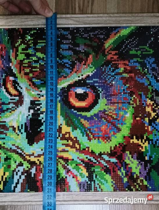 Gotowy obraz haft diamentowy sowa Tanio Odbiór Andrychów sprzedam