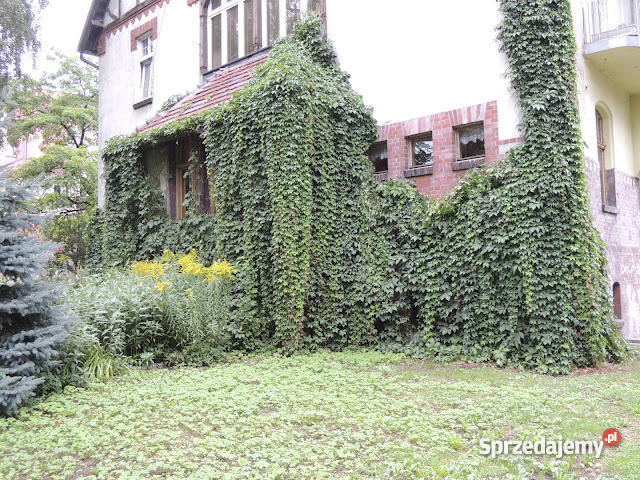 MIESZKANIE W KAMIENICY 1512zł/m2 Racibórz