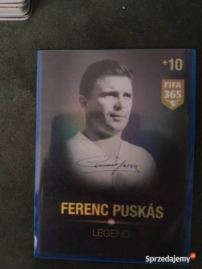 Autograf Ferenc pusks 20152016 Międzychód