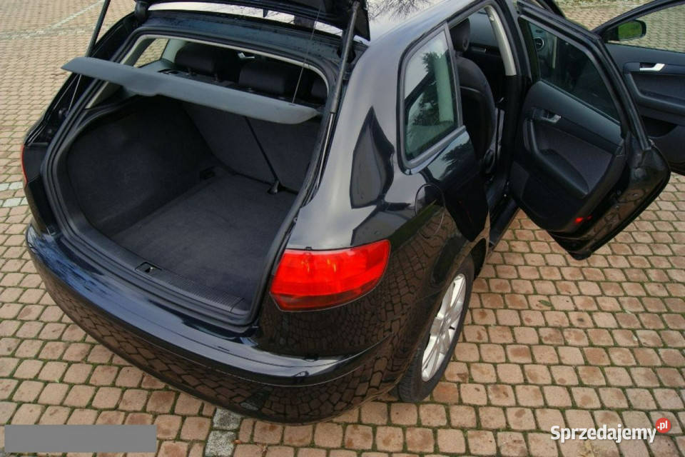 Audi A3 19TDi czarny 5DRZWI stan KLIMA alufelgi nieuszkodzony