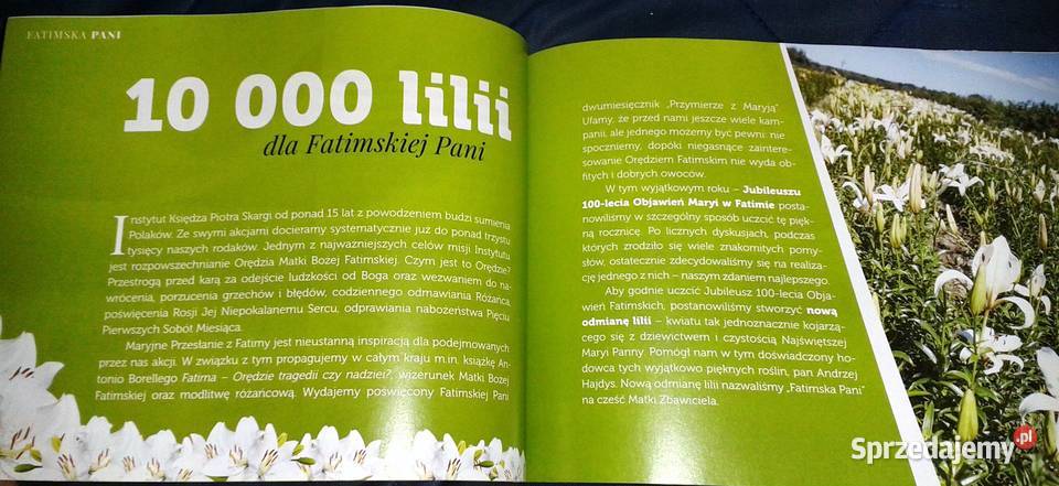 Fatimska Pani Fatima 100 lat objawień Maryi miękka Chełm