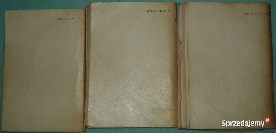 Przemineło z Wiatrem tom IIIIII Warszawa