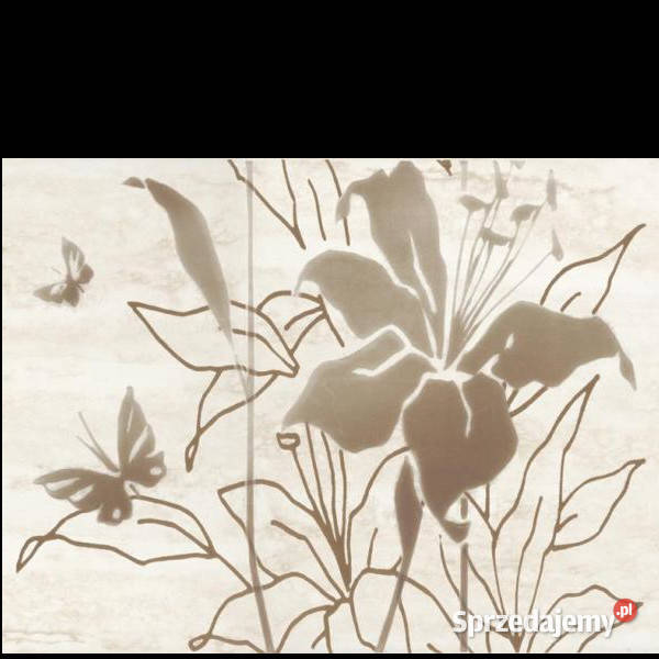 Dekor Frezja beige A 25 x 333 Kwadro aktualne zachodniopomorskie Białogard