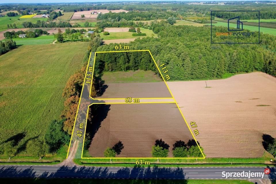Duża działka budowlana z własnym lasem 7012 m2 Skorosze