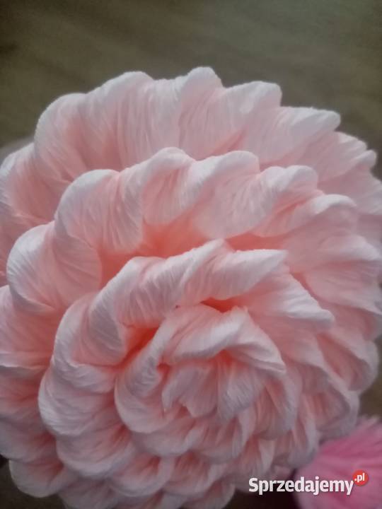 Kwiaty do dużej Palmy Rękodzieło Pokrzywnica sprzedam