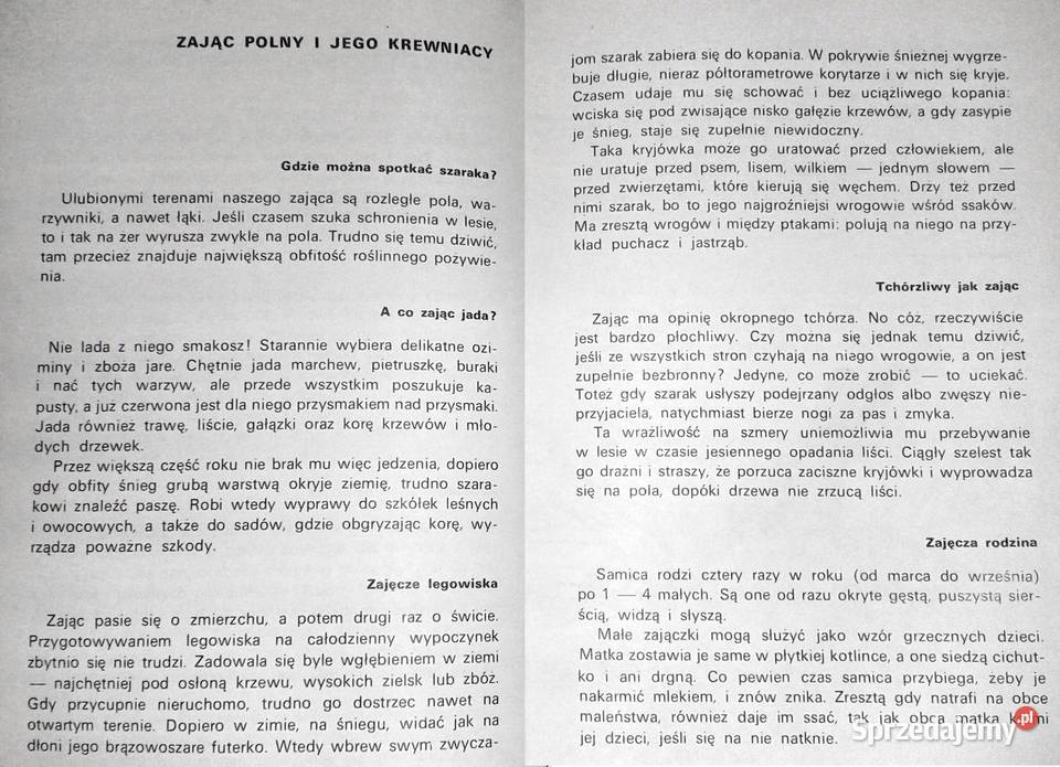 To i owo o zwierzętach Jadwiga Wernerowa