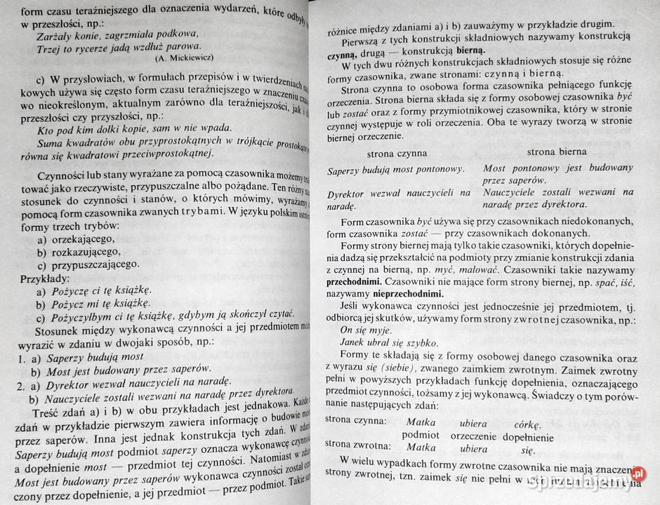 Vademecum maturzysty Język polski Stanisława Rok wydania 1997 sprzedam
