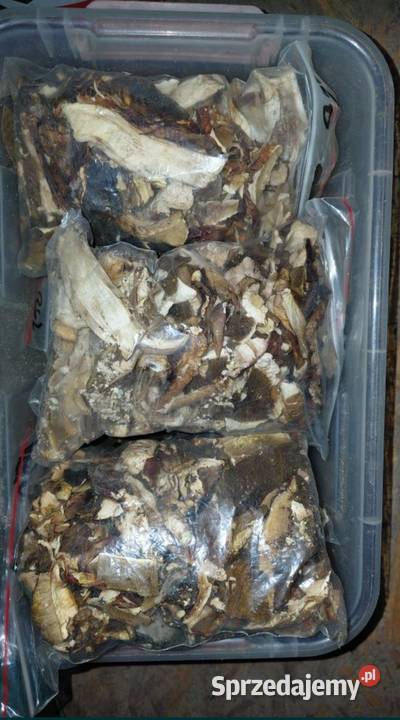 Borowiki suszone 2 Szczecin