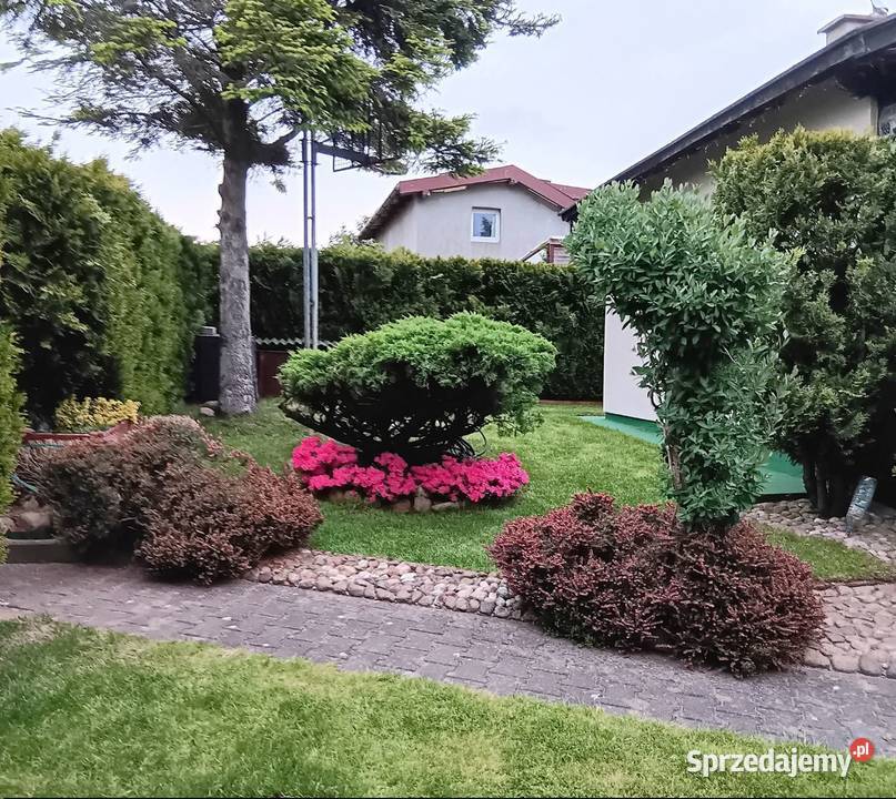 Wejherowo Sucharskiego Przeniosę Prawa do Sprzedaż
