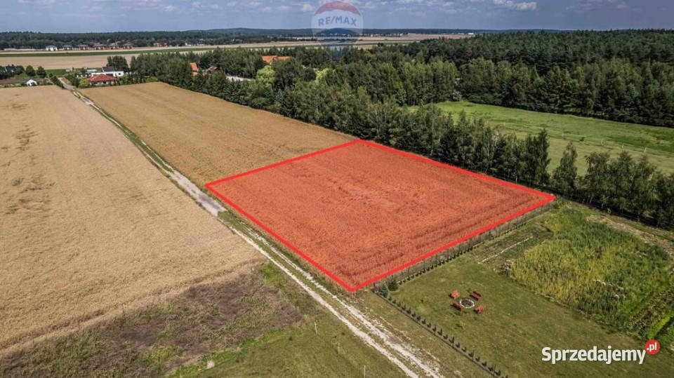 Kicin kPoznania3007 mKapitał rosnący w ciszy