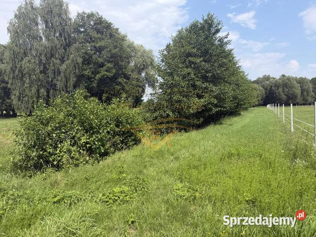 sprzedaży działki Budy Zosine 5700m2