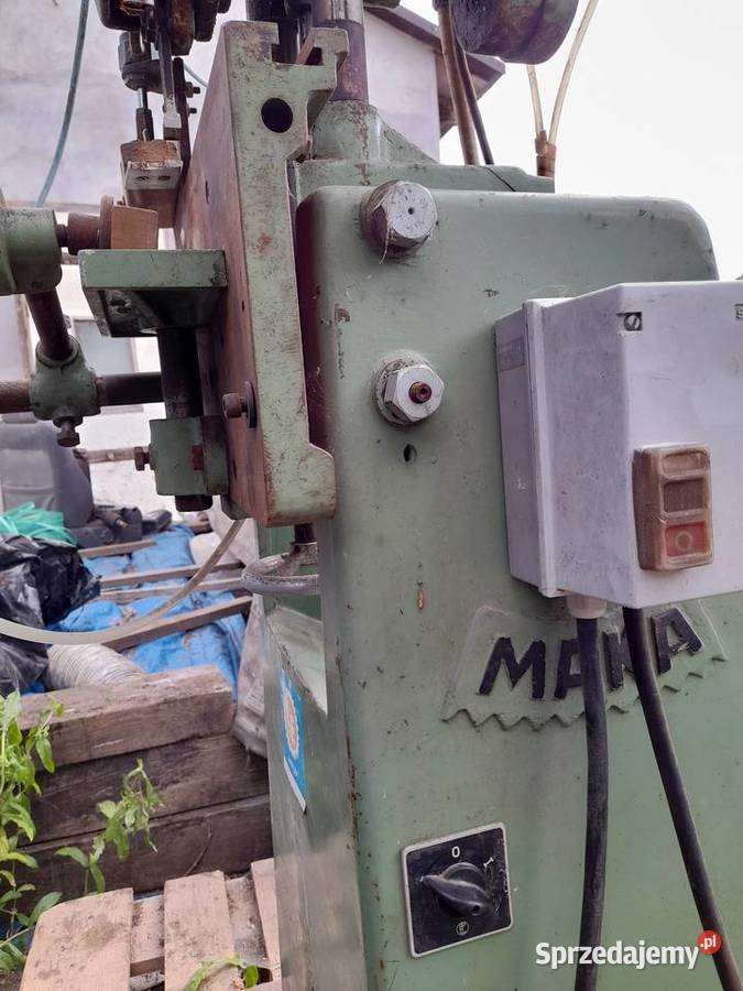 Dłutarka grzebieniowa wielkopolskie Gulcz