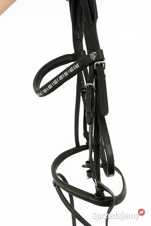 Ogłowie CAMBRIDGE V mazowieckie Warszawa