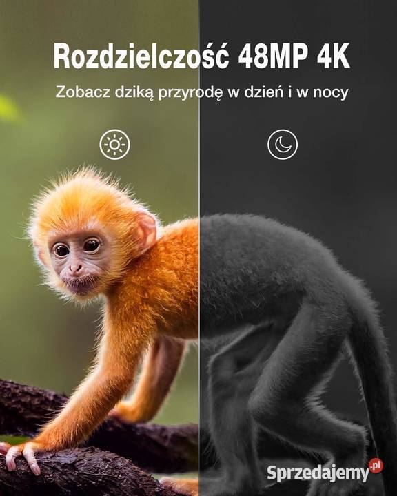 Kamera leśna WOLFANG 48MP 2160p noktowizja IR
