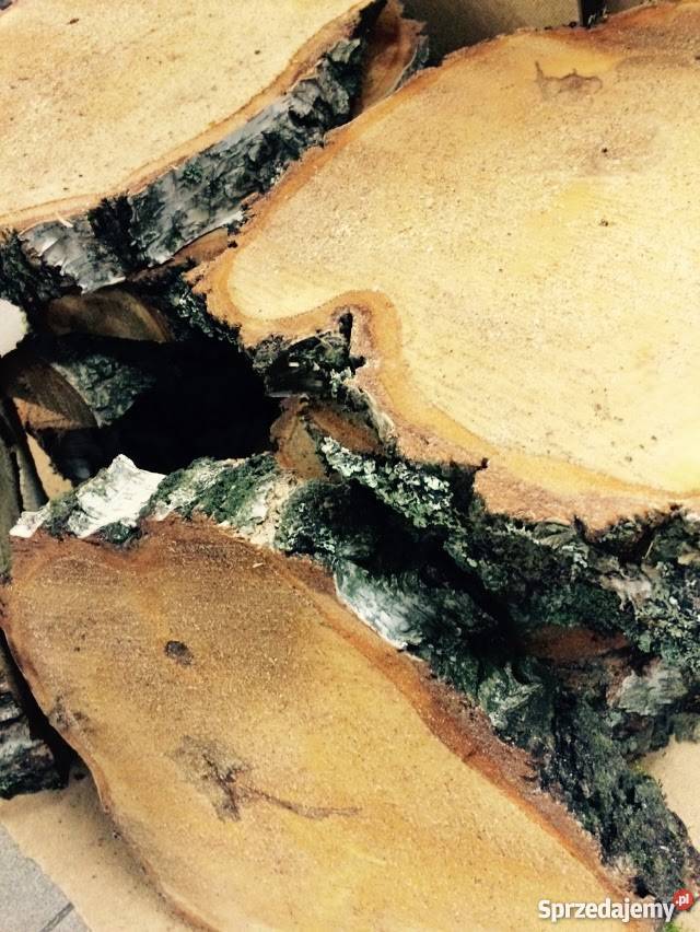 Plastry drzewa fleki drewno krojone płaskie Czarne