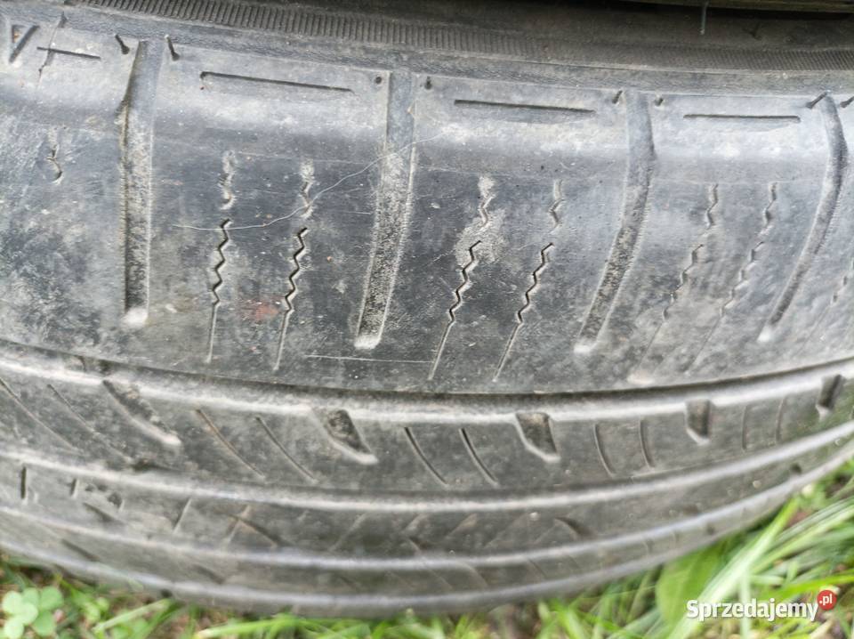 Opony całoroczne FALKEN ZIEX CT60 AS 22555 R19 Marki