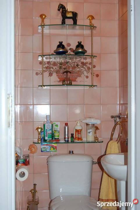 Dom Julianów łódzkie Łódź