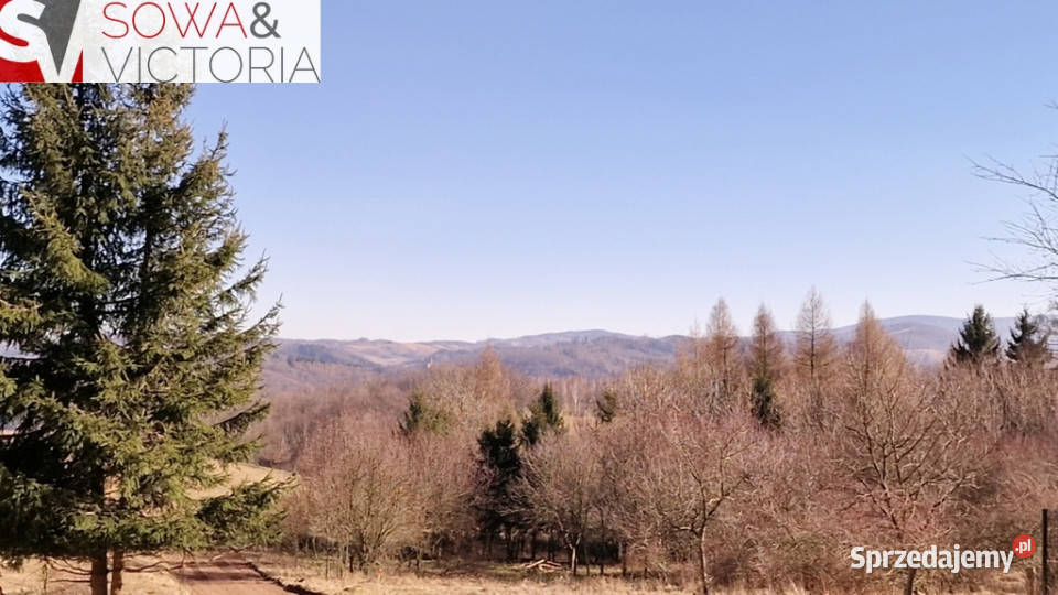 Panorama Góry Sowie Zagórze Śląskie