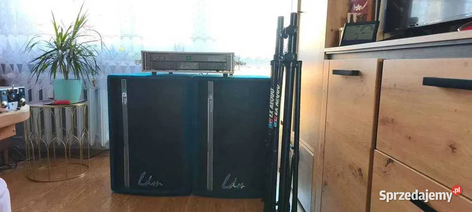 Kolumny LDM P315 Na głośniku BEYMA Pozostałe Inowrocław