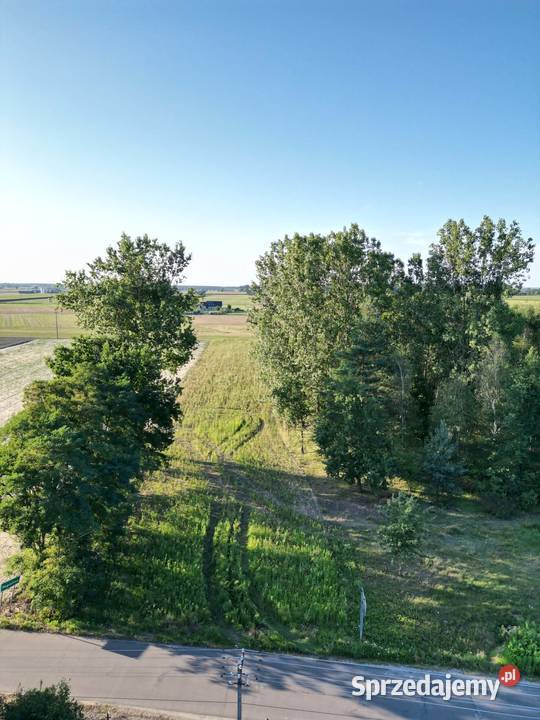 Działka z wydanymi warunkami zabudowy w cichej Złoczew