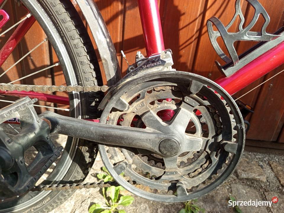 Rower Tecno Bike 24